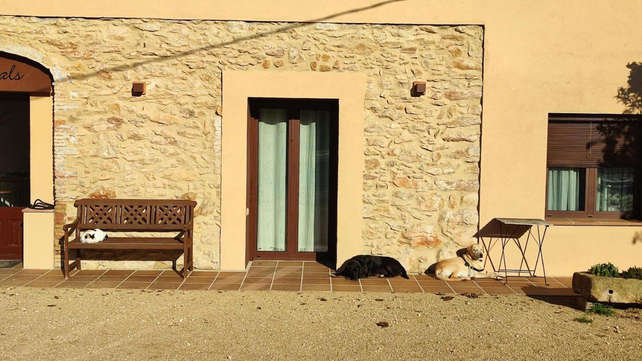 Can Costals Terraza Pals Exterior foto